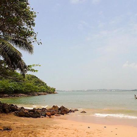 فندق Pineview أونا واتونا المظهر الخارجي الصورة